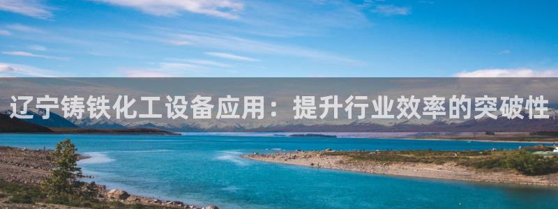 新城平台线路登录不上去怎么办呀
