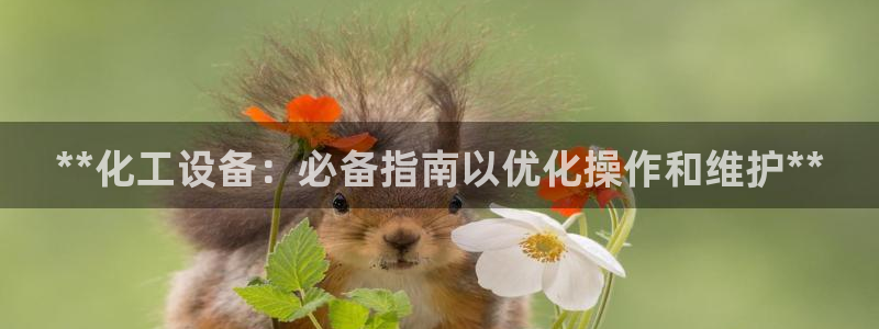 新城平台登录入口官网首页下载