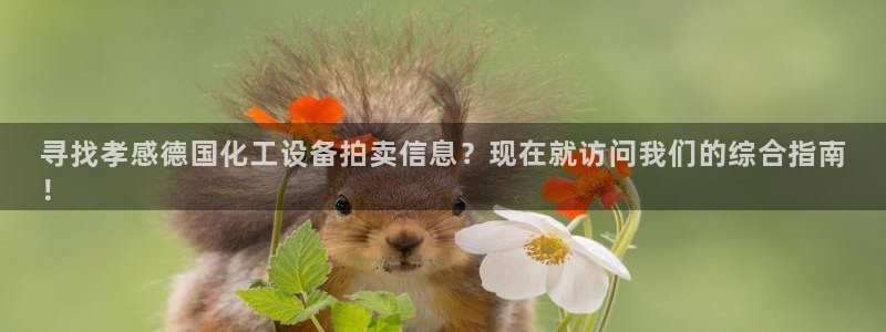 新城平台代理怎么做