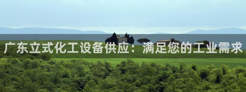 新城平台登录入口官网查询网址