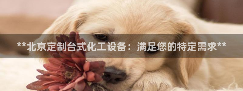 新城平台代理注册条件