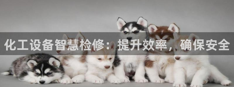 新城平台登录入口官网网址