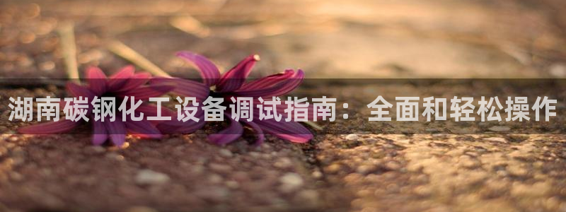 新城平台登录入口