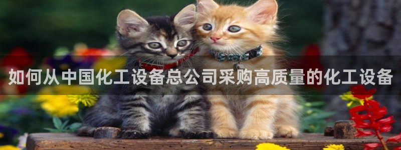 新城平台线路登录