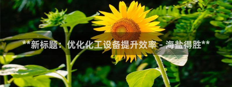 新城平台登录入口网站