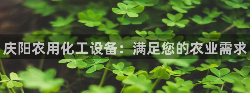 新城平台注册