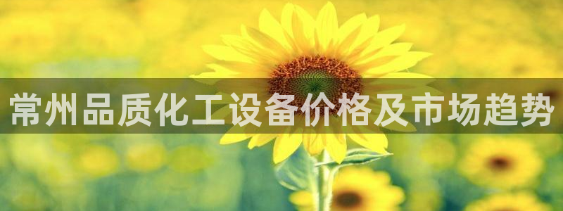 新城平台注册登录地址是什么