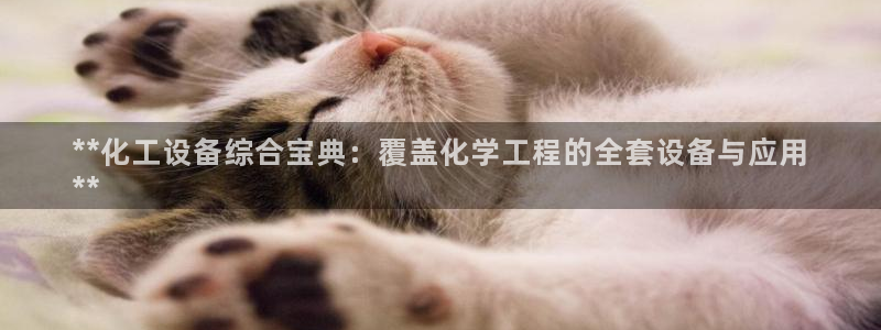 新城平台线路登录不上去怎么回事