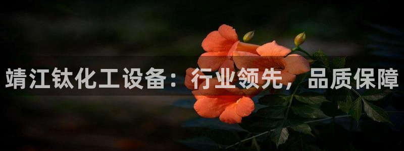新城平台注册网址是什么