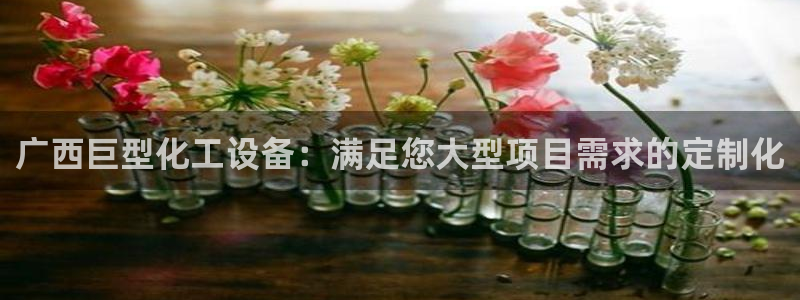 新城平台登录入口官网首页