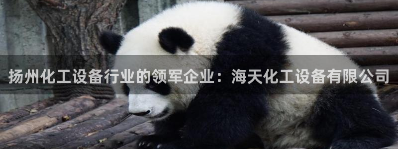 新城平台注册资金多少