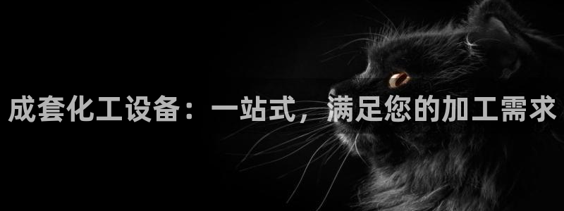 新城平台线路登录不上去怎么办