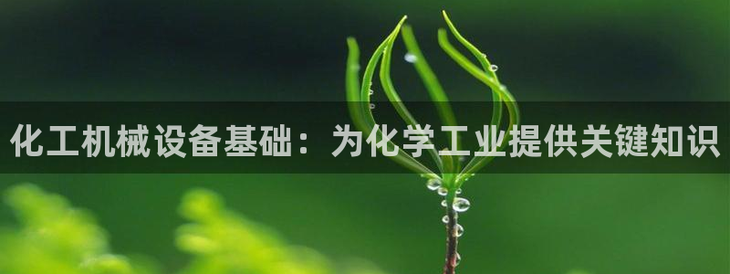 新城平台负责人：化工机械设备基础：为化学工业提供关