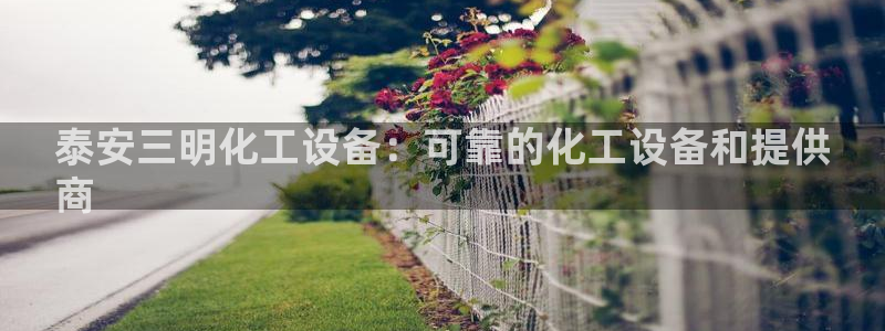 新城平台线路登录不上去怎么办