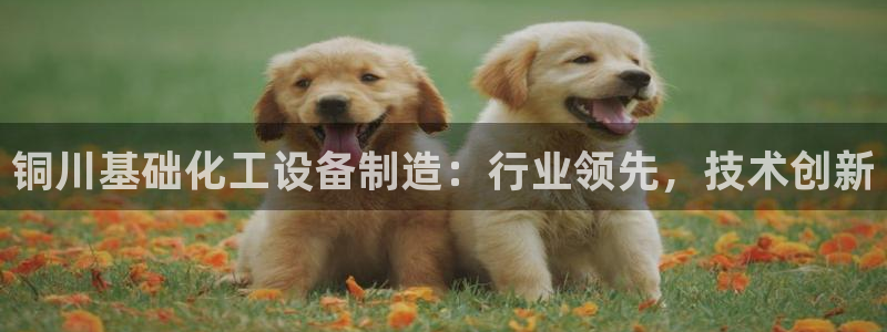 新城平台公司