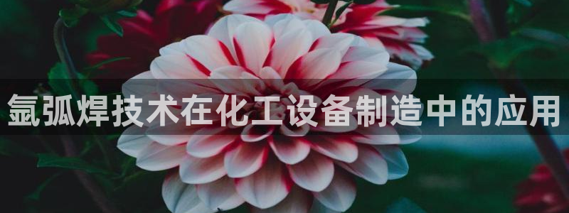新城平台是正规平台吗