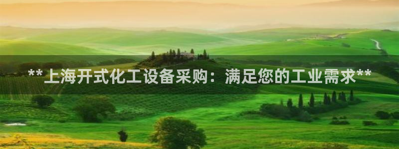 新城平台招商