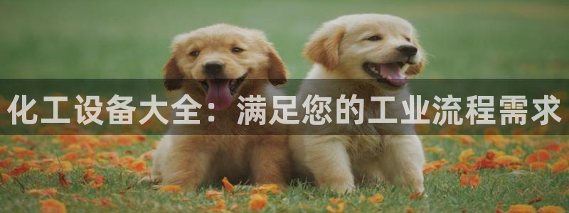 新城平台进.新城平台.稳定风险提示
