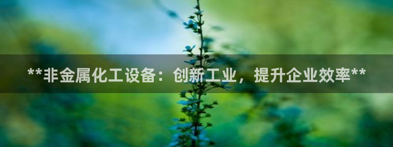 新城平台负责人