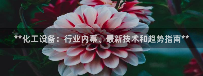 新城平台注册公司流程及费用