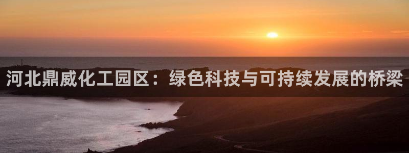 新城平台线路登录不上去怎么回事呀：河北鼎威化工园区