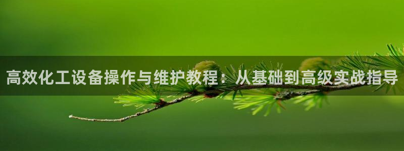 新城平台负责人：高效化工设备操作与维护教程：从基础