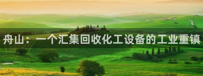 新城平台某7O777：舟山：一个汇集回收化工设备的