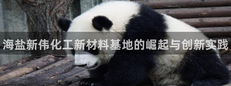 新城平台价7O777：海盐新伟化工新材料基地的崛起